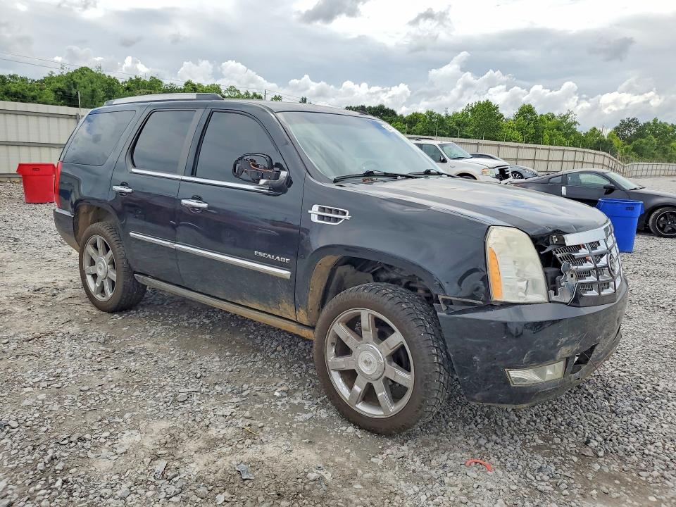 2010 Cadillac Escalade მანქანა იყიდება აუქციონზე, vin: 1GYUCCEF1AR195413, აუქციონის ნომერი: 54418046