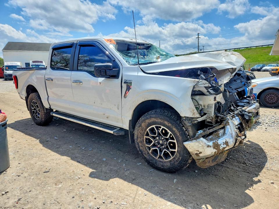 Продаж на аукціоні авто 2023 Ford F150, vin: 1FTEW1EP4PFA22820, номер лоту: 51918886