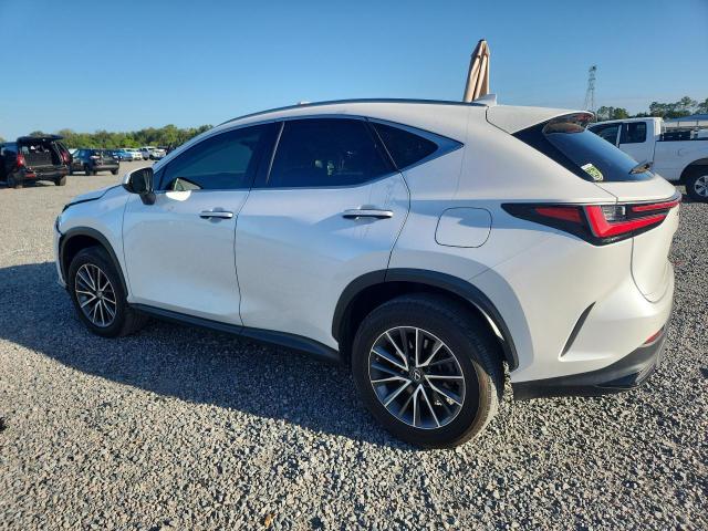 Продаж на аукціоні авто 2023 Lexus Nx, vin: JTJGDCAZXP5010322, номер лоту: 54172376