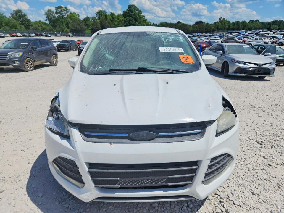 Aukcja sprzedaży 2014 Ford Escape, vin: 1FMCU0G98EUD45374, numer aukcji: 53375926