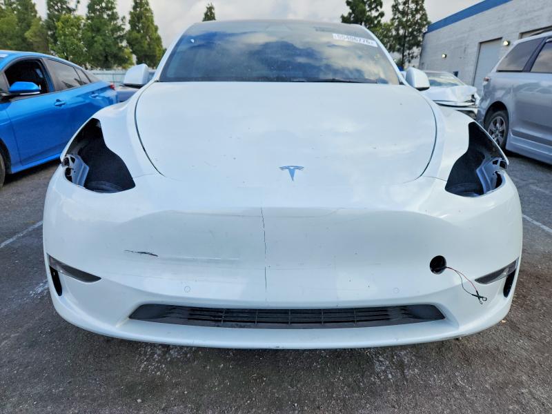 Продаж на аукціоні авто 2021 Tesla Model Y, vin: 5YJYGDEE2MF086476, номер лоту: 55406776