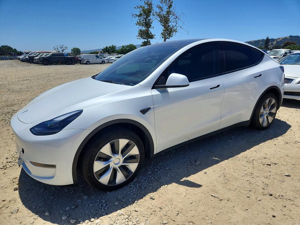 Aukcja sprzedaży 2023 Tesla Model Y, vin: 7SAYGDEE1PF817020, numer aukcji: 53830576