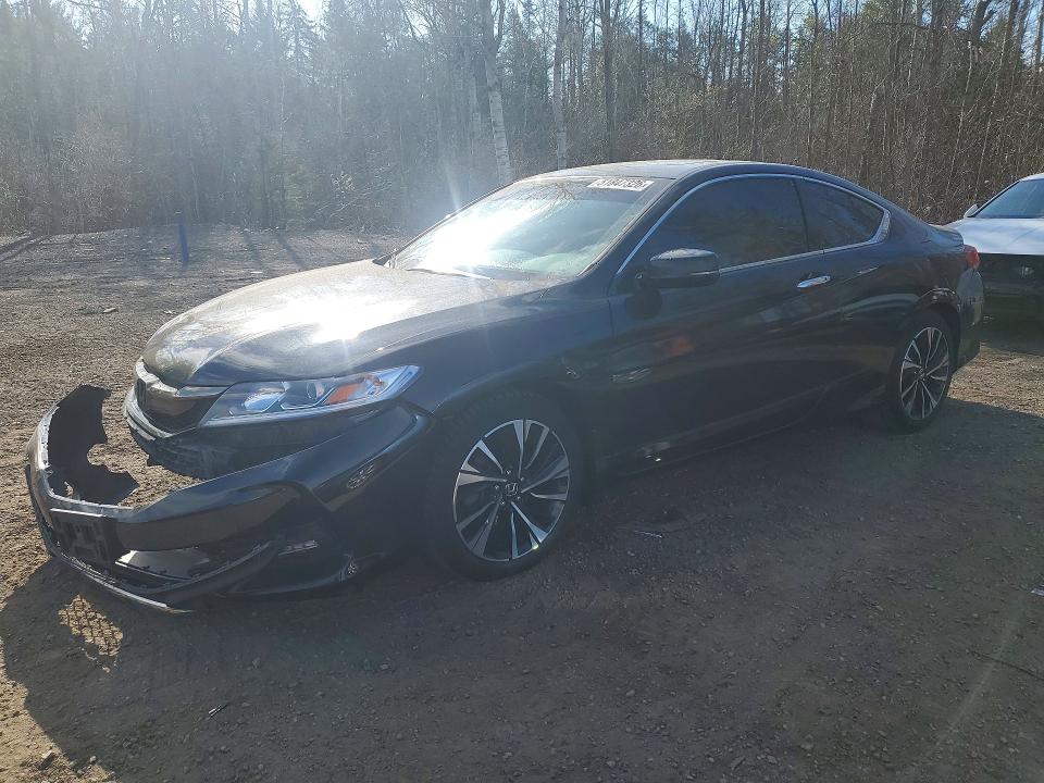 51847326 :رقم المزاد ، 1HGCT1B71GA800249 vin ، 2016 Honda Accord مزاد بيع