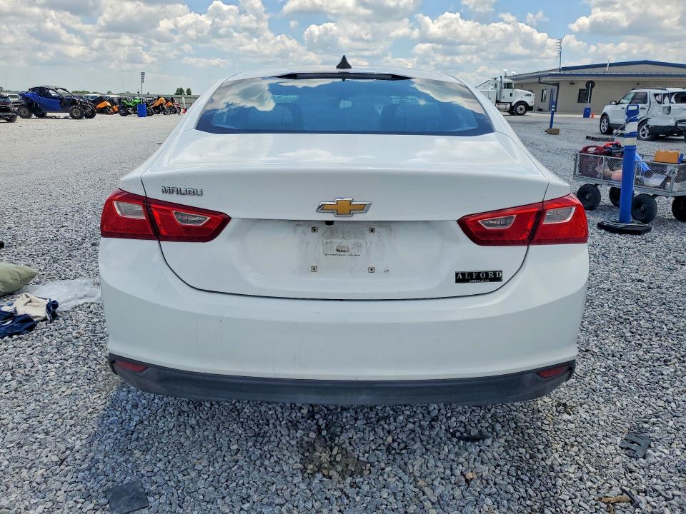 53123296 :رقم المزاد ، 1G1ZC5ST8HF223469 vin ، 2017 Chevrolet Malibu مزاد بيع