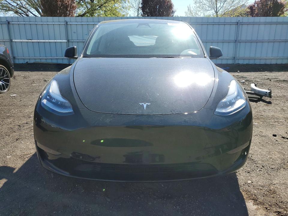 Продаж на аукціоні авто 2023 Tesla Model Y, vin: 7SAYGDEEXPF586991, номер лоту: 52731806