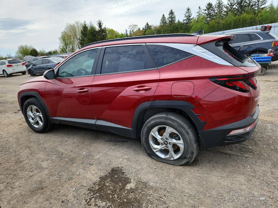 54072286 :رقم المزاد ، KM8JBCAE3PU250423 vin ، 2023 Hyundai Tucson مزاد بيع