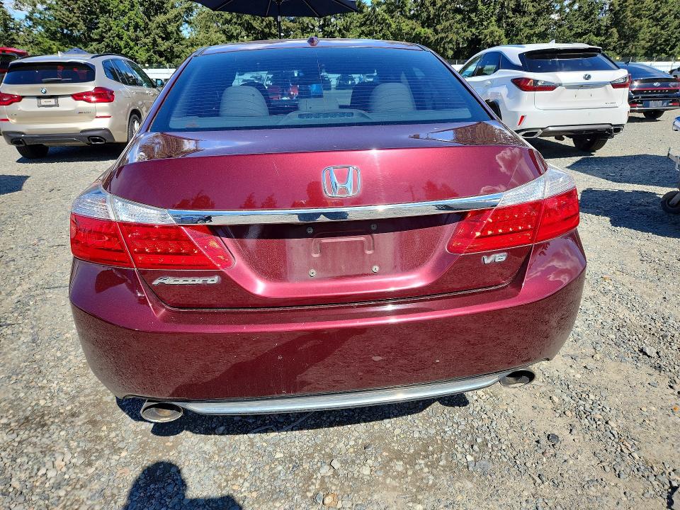 53939086 :رقم المزاد ، 1HGCR3F83DA025302 vin ، 2013 Honda Accord مزاد بيع