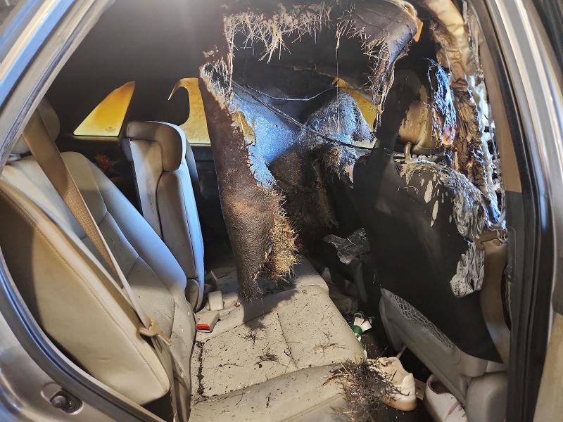 2011 Kia Sorento მანქანა იყიდება აუქციონზე, vin: 5XYKTCA19BG019457, აუქციონის ნომერი: 53256676