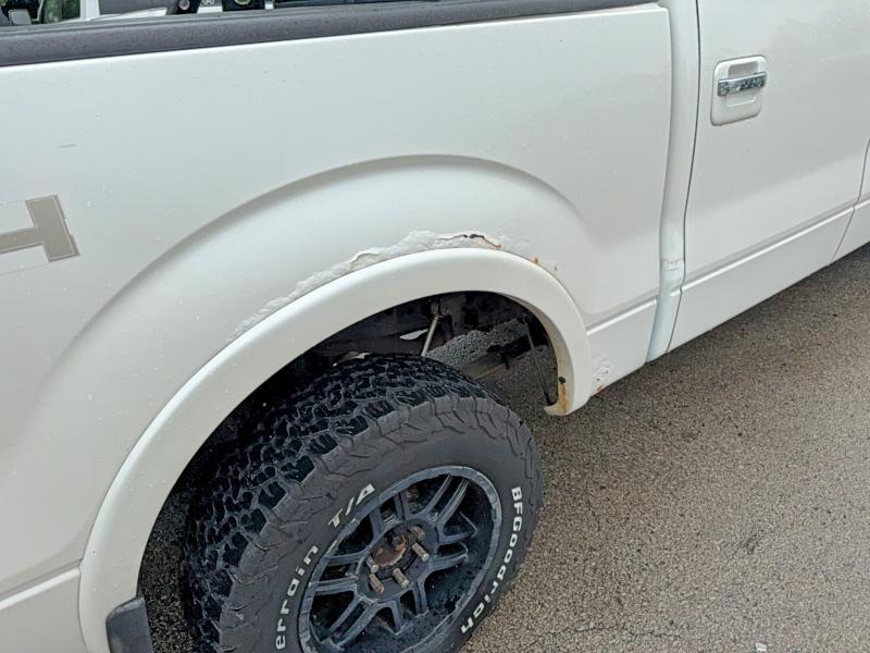 Продаж на аукціоні авто 2010 Ford F150, vin: 1FTFW1EV8AFA92511, номер лоту: 54462156