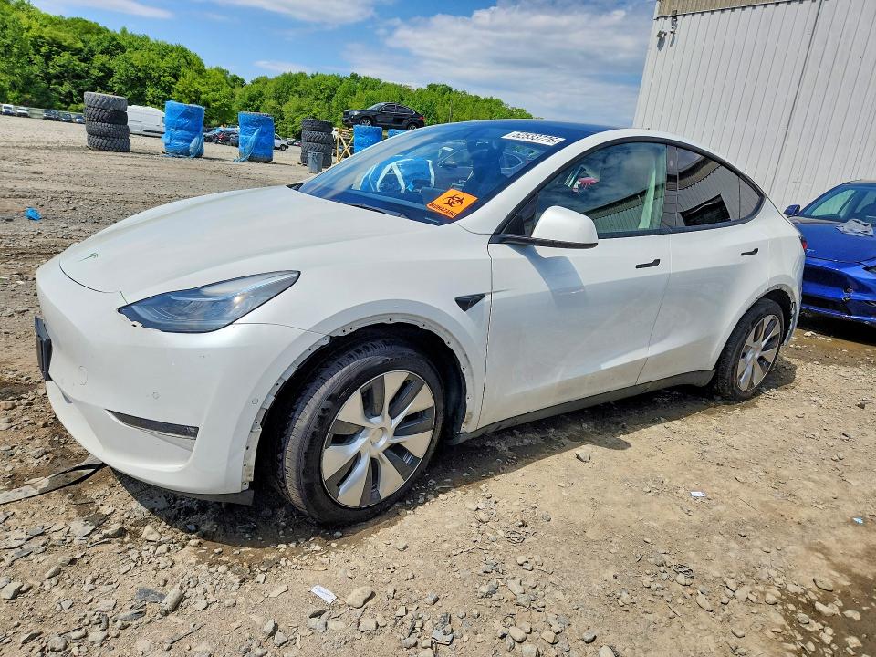 Продажа на аукционе авто 2021 Tesla Model Y, vin: 5YJYGDEE0MF204248, номер лота: 52533726