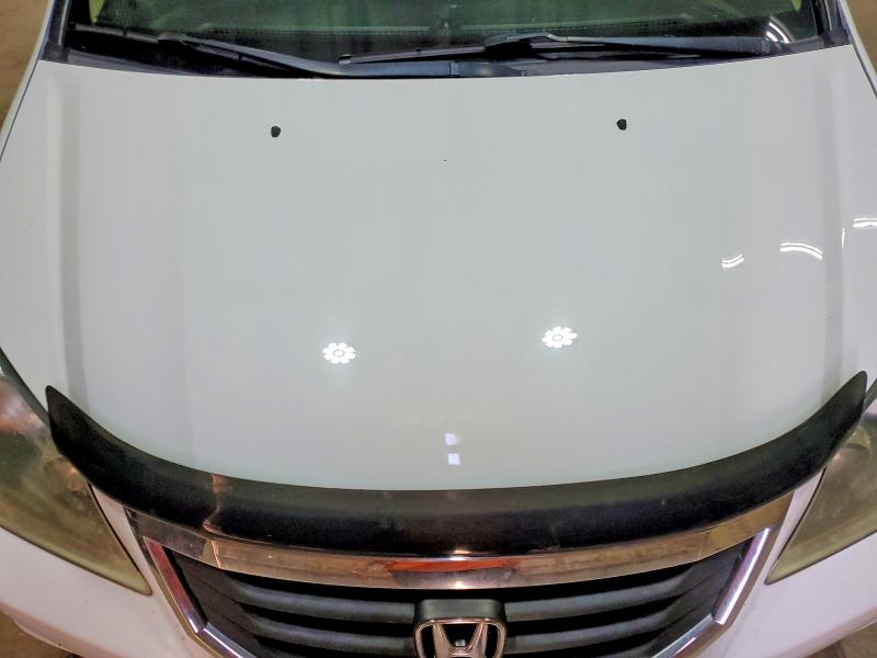 Продажа на аукционе авто 2009 Honda Odyssey, vin: 5FNRL38679B002335, номер лота: 52585316