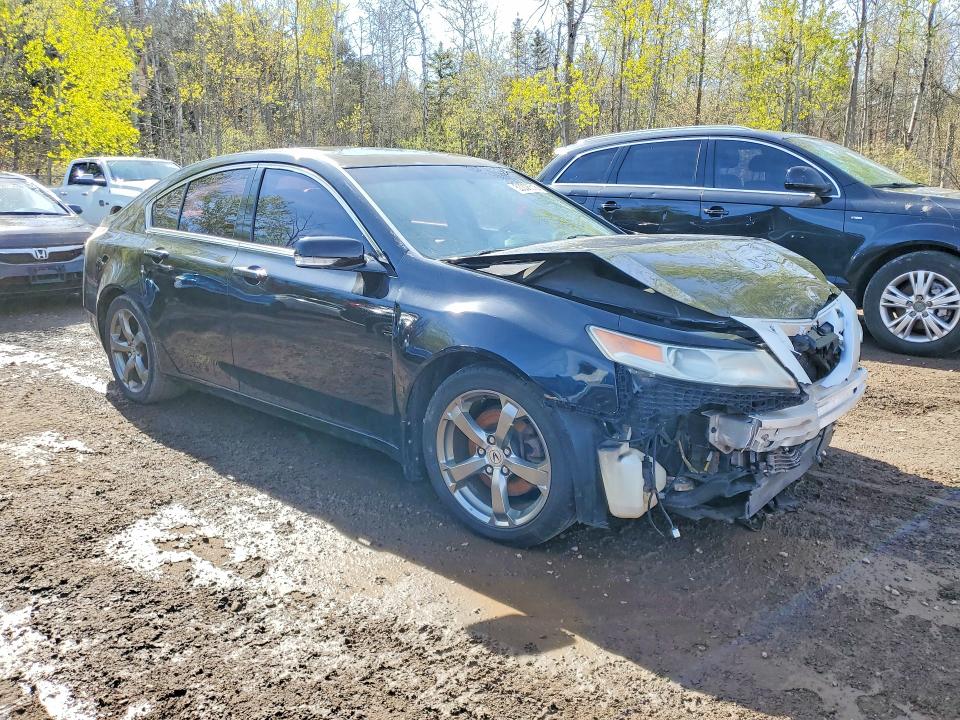 Продаж на аукціоні авто 2011 Acura Tl, vin: 19UUA9F54BA800207, номер лоту: 53338616