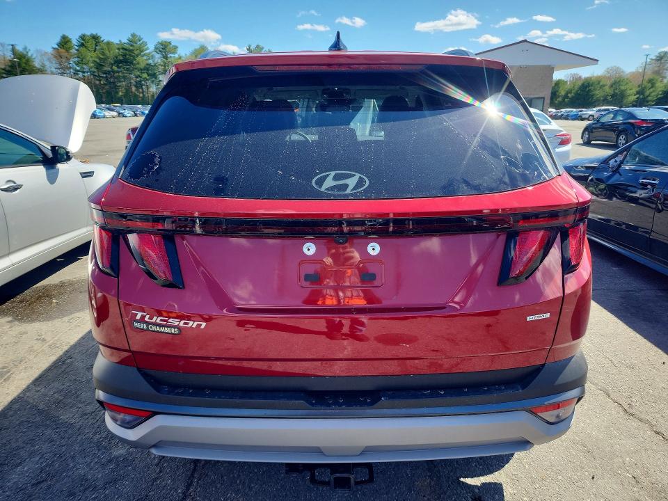 Продаж на аукціоні авто 2025 Hyundai Tucson, vin: 5NMJBCDE6SH579150, номер лоту: 51835596
