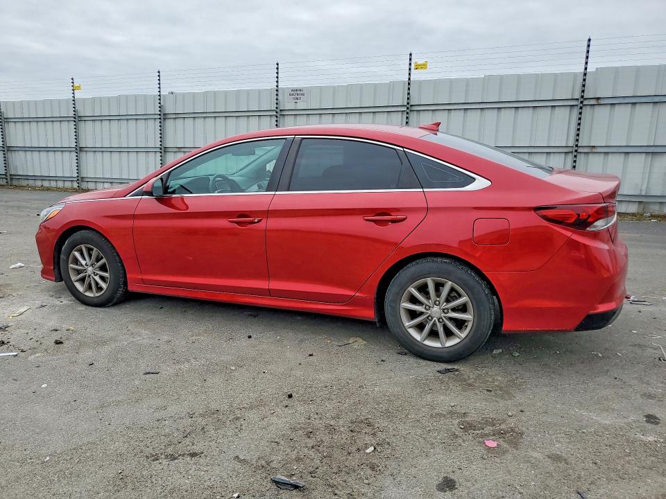 2019 Hyundai Sonata მანქანა იყიდება აუქციონზე, vin: 5NPE24AF1KH766593, აუქციონის ნომერი: 52096576
