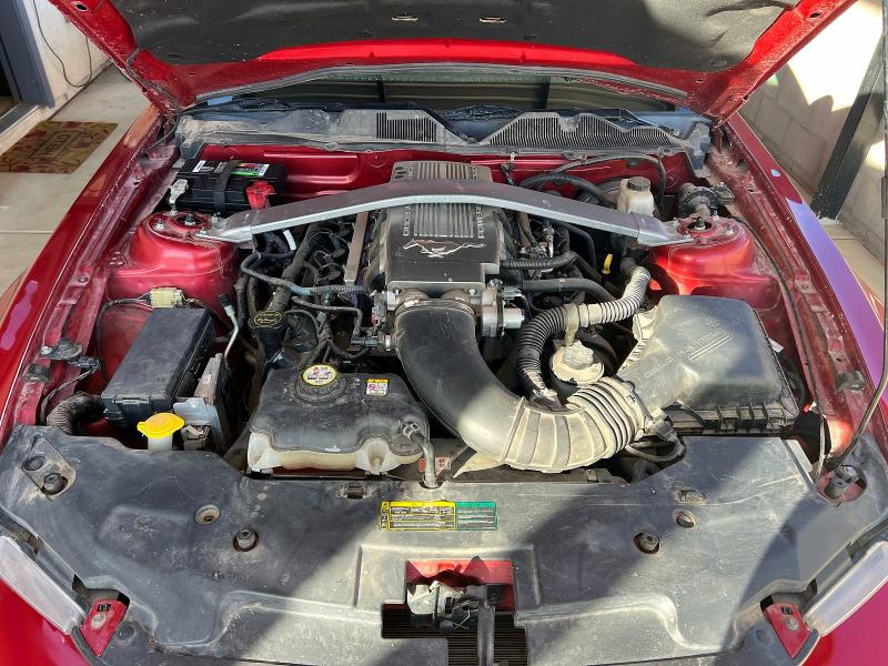 55025306 :رقم المزاد ، 1ZVBP8CH9A5118120 vin ، 2010 Ford Mustang مزاد بيع