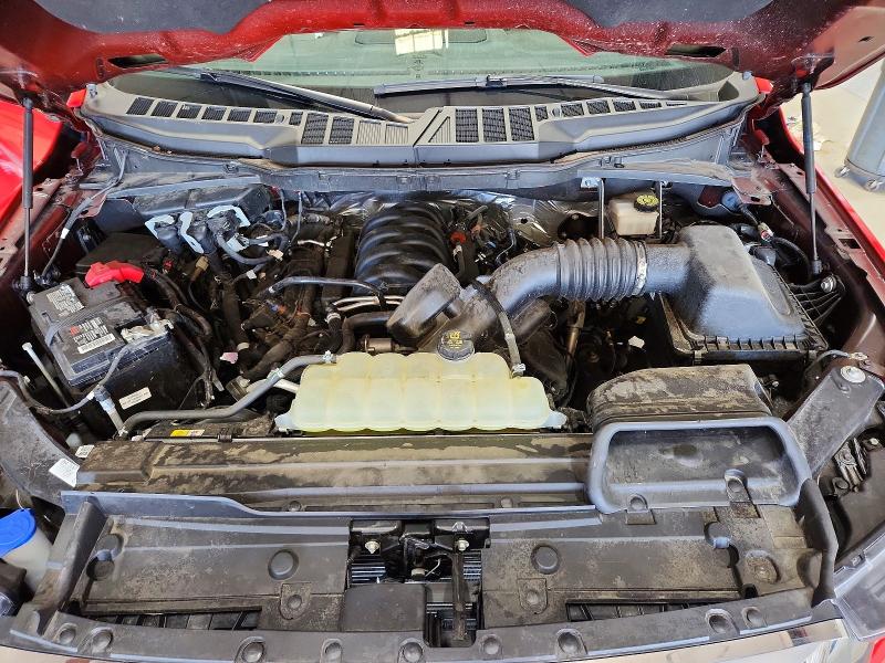 2023 Ford F150 მანქანა იყიდება აუქციონზე, vin: 1FTMF1E58PKE16385, აუქციონის ნომერი: 55191916