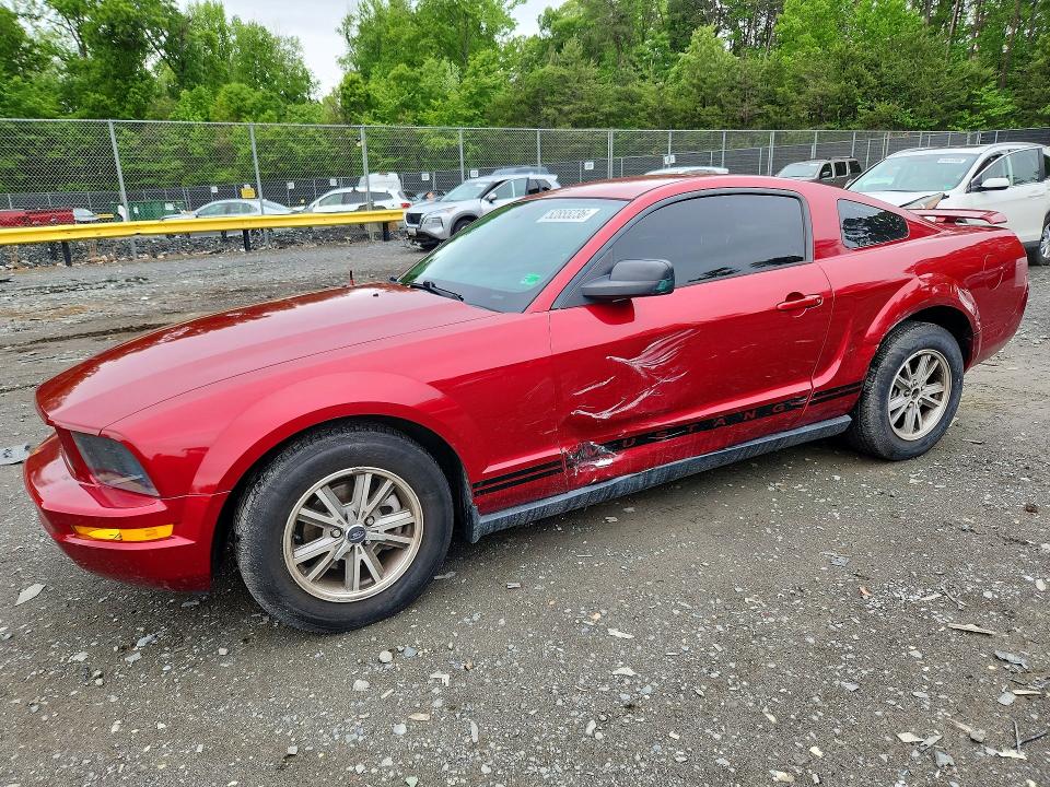 Продаж на аукціоні авто 2005 Ford Mustang, vin: 1ZVHT80N855259881, номер лоту: 52855236