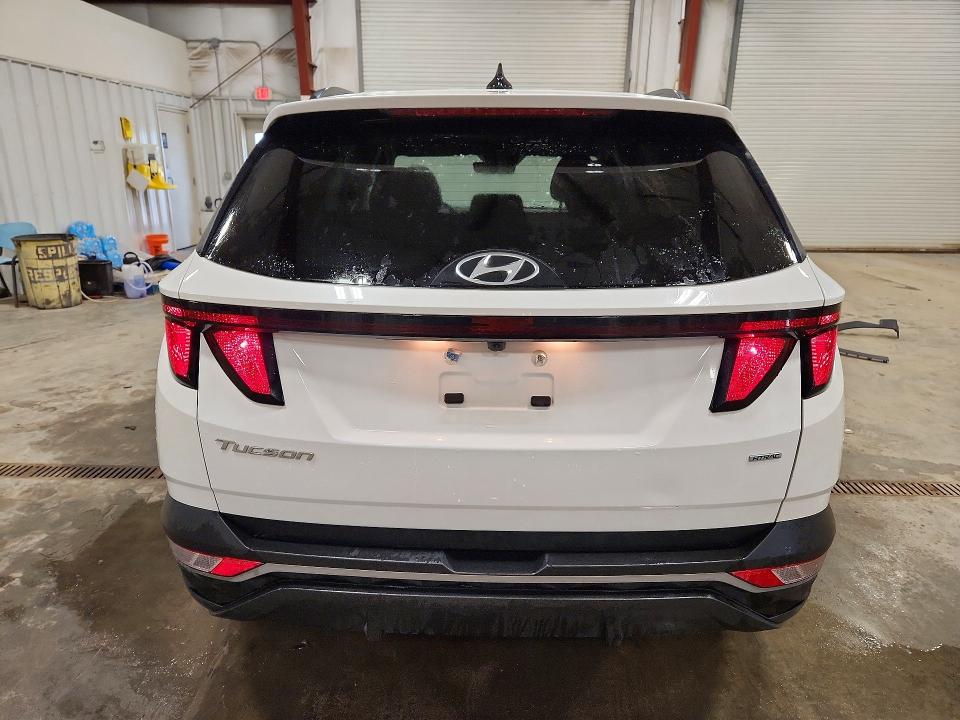 2024 Hyundai Tucson მანქანა იყიდება აუქციონზე, vin: 5NMJBCDE2RH421821, აუქციონის ნომერი: 54532486