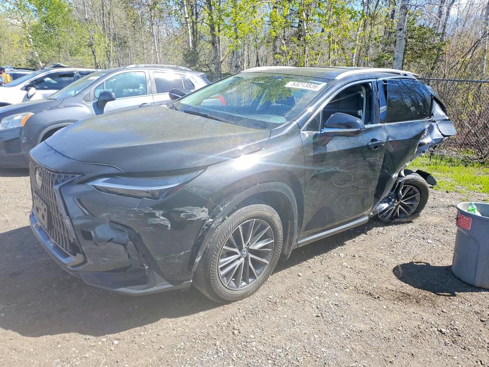 Продажа на аукционе авто 2024 Lexus Nx 350h, vin: 2T2GKCEZ4RC018212, номер лота: 53213836