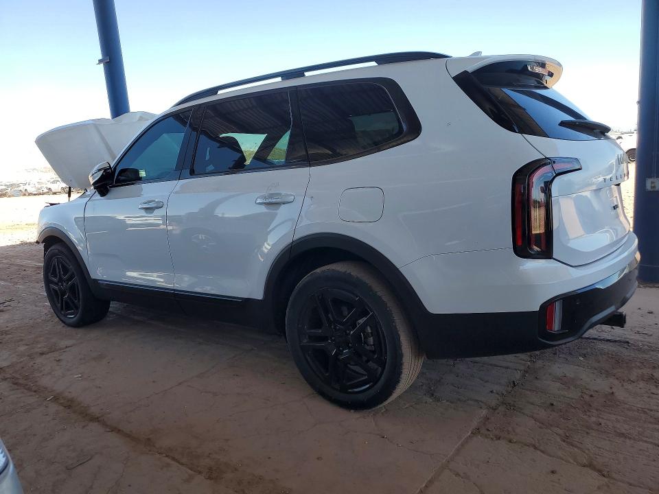 Продаж на аукціоні авто 2025 Kia Telluride, vin: 5XYP5DGC7SG637911, номер лоту: 52079886