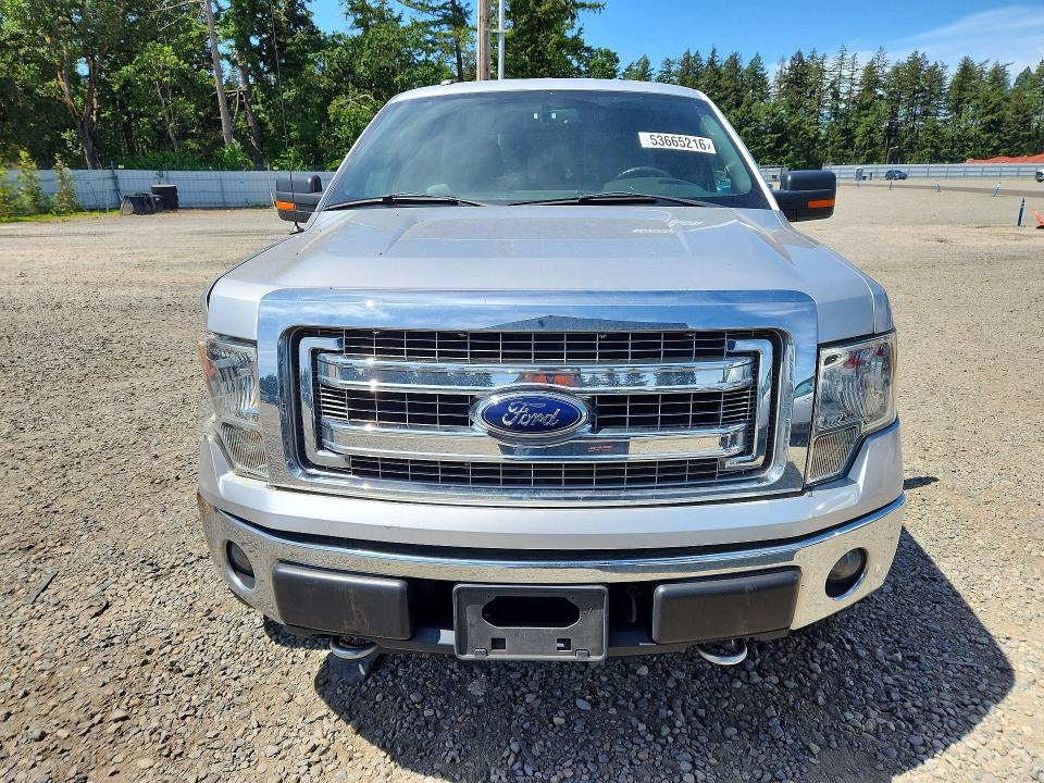 Aukcja sprzedaży 2014 Ford F150, vin: 1FTFW1EF8EFD00479, numer aukcji: 53665216