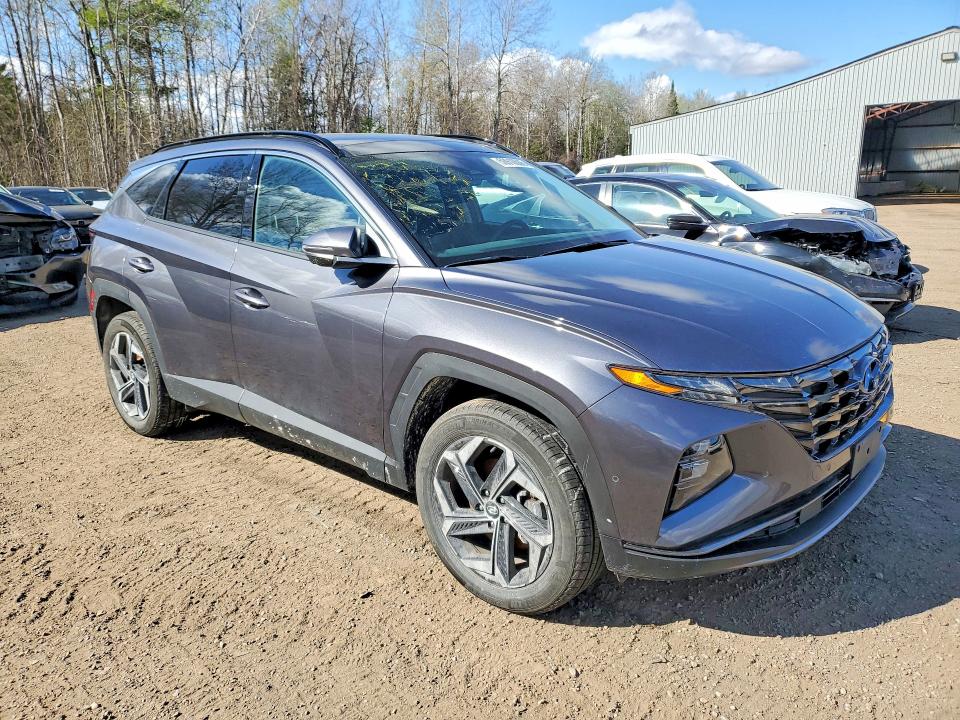Aukcja sprzedaży 2024 Hyundai Tucson, vin: KM8JCCD13RU209525, numer aukcji: 50910686