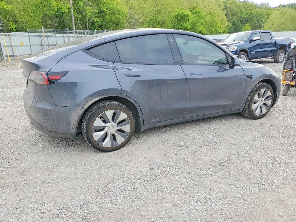Продаж на аукціоні авто 2023 Tesla Model Y, vin: 7SAYGDEE1PF604858, номер лоту: 51694406