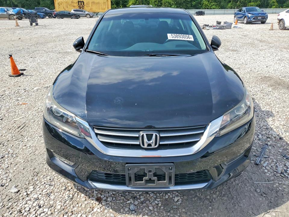 53893056 :رقم المزاد ، 1HGCR2F57DA283189 vin ، 2013 Honda Accord مزاد بيع