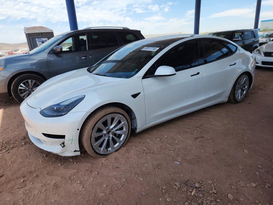 Auction sale of the 2021 Tesla Model 3, vin: 5YJ3E1EA1MF095942, lot number: 53611716