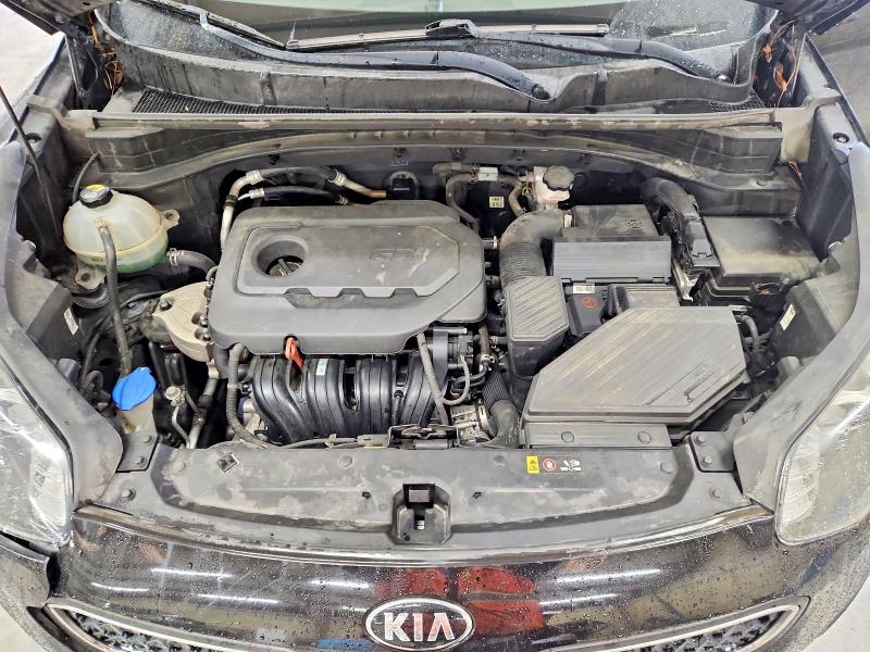 Продаж на аукціоні авто 2019 Kia Sportage, vin: KNDPM3AC3K7556391, номер лоту: 54968286