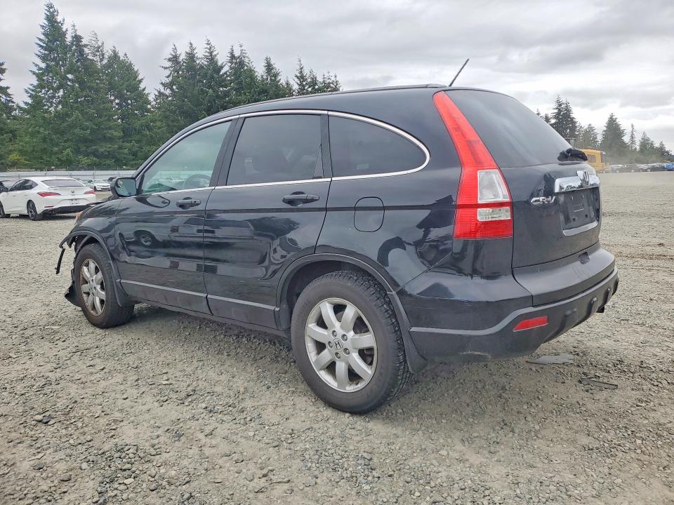 55166626 :رقم المزاد ، 5J6RE38719L028309 vin ، 2009 Honda Cr-v مزاد بيع