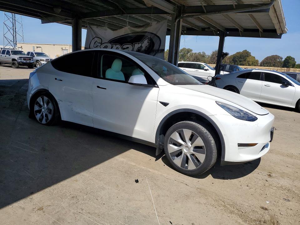 51356626 :رقم المزاد ، 5YJYGDED2MF116180 vin ، 2021 Tesla Model Y مزاد بيع