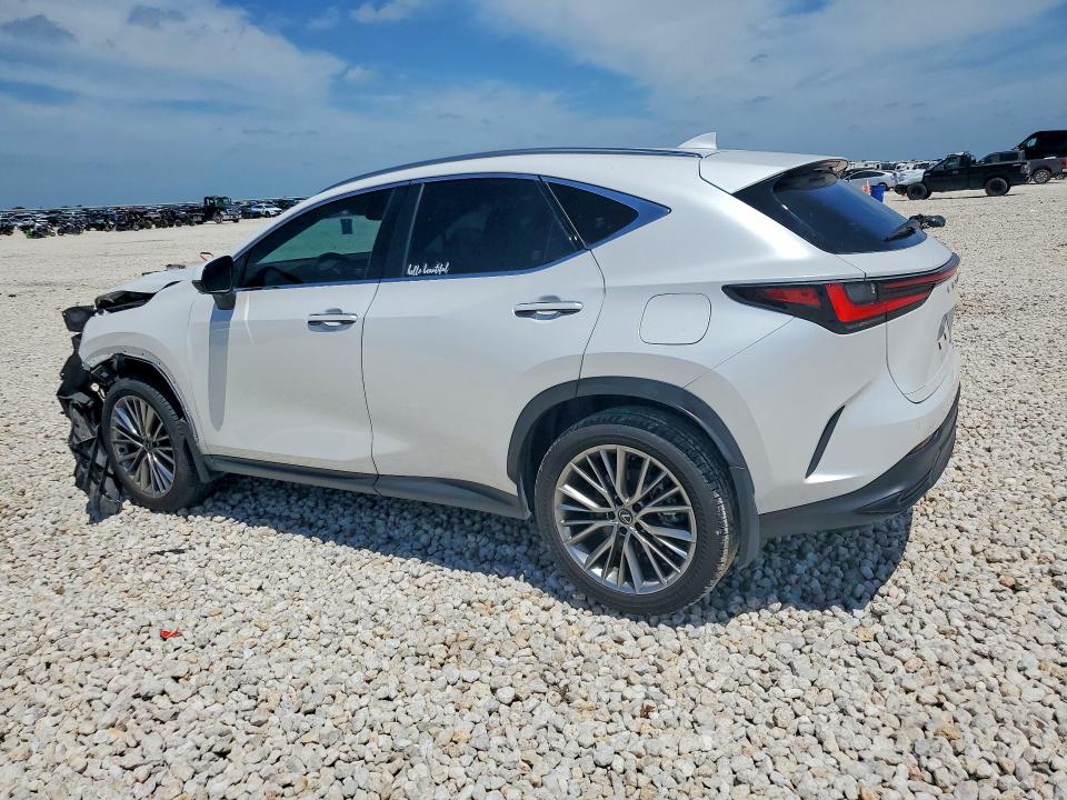 2025 Lexus Nx მანქანა იყიდება აუქციონზე, vin: JTJGGCEZ9S5011634, აუქციონის ნომერი: 55332116