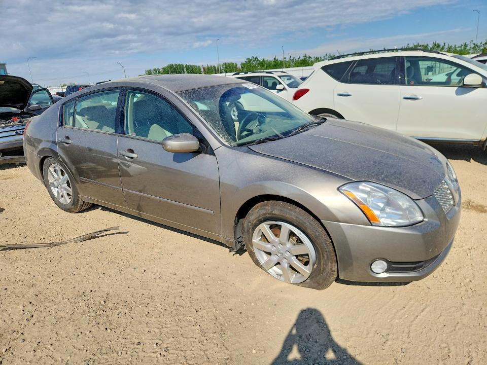 Продажа на аукционе авто 2004 Nissan Maxima, vin: 1N4BA41E74C899294, номер лота: 53982506