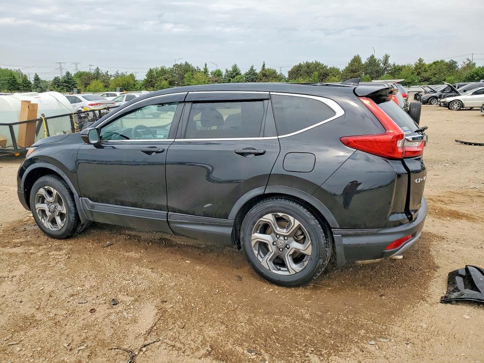 Продаж на аукціоні авто 2019 Honda Cr-v, vin: 5J6RW2H52KL017296, номер лоту: 54050746