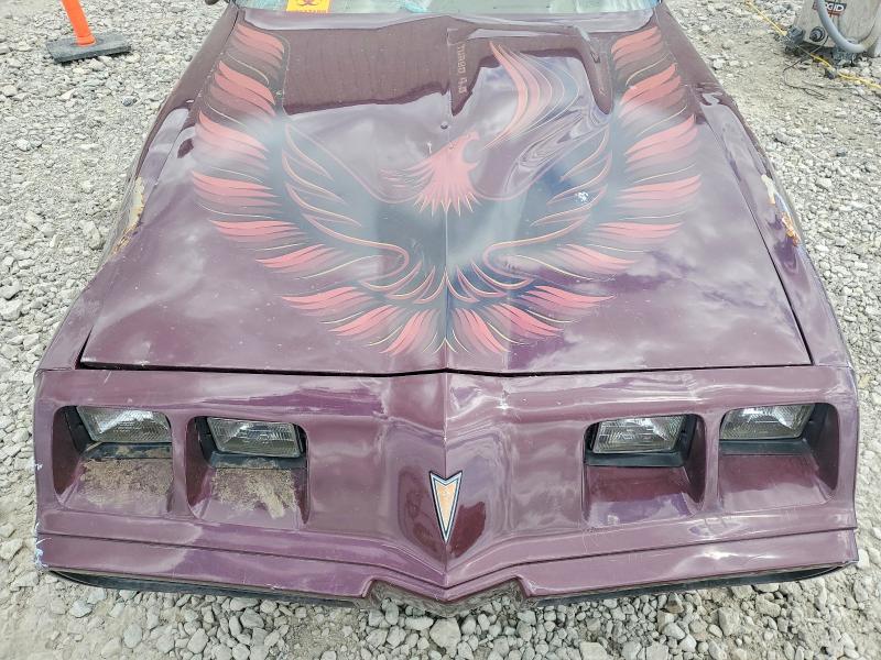 Продаж на аукціоні авто 1981 Pontiac Uk, vin: 2W87TAN136020, номер лоту: 52319286