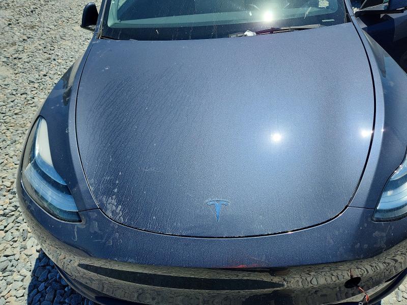 Продаж на аукціоні авто 2023 Tesla Model Y, vin: 7SAYGDEE0PA142371, номер лоту: 53611926