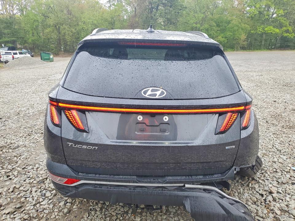 2023 Hyundai Tucson მანქანა იყიდება აუქციონზე, vin: 5NMJBCAE5PH180337, აუქციონის ნომერი: 53378876