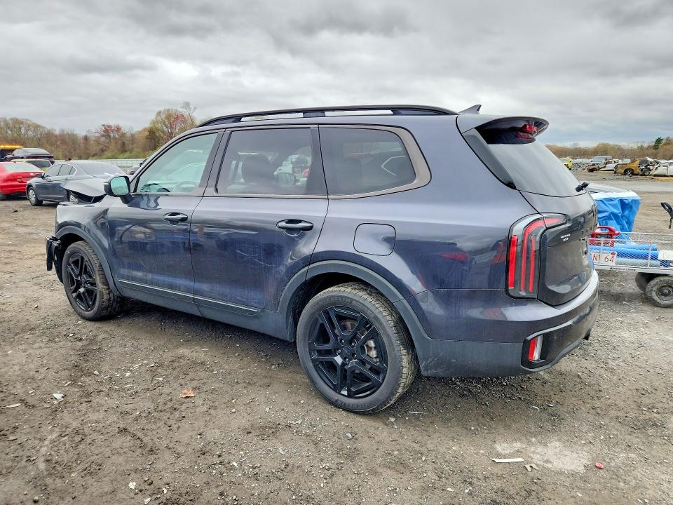 Продаж на аукціоні авто 2025 Kia Telluride, vin: 5XYP3DGC5SG697112, номер лоту: 51155536