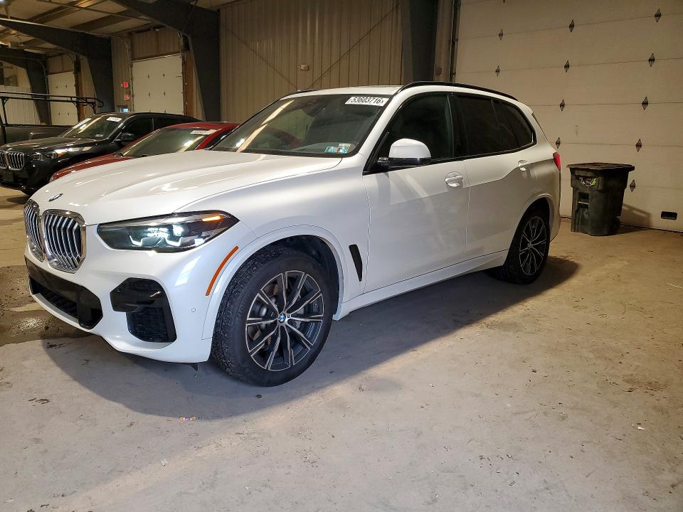 Продаж на аукціоні авто 2023 Bmw X5, vin: 5UXCR6C03P9R05919, номер лоту: 53603716