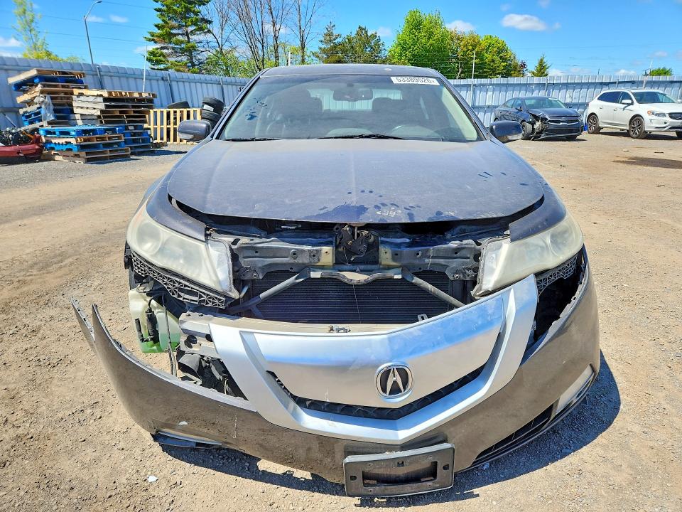 53389526 :رقم المزاد ، 19UUA96579A801703 vin ، 2009 Acura Tl مزاد بيع
