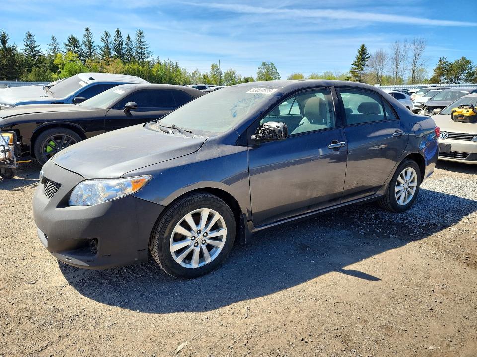 Продажа на аукционе авто 2009 Toyota Corolla, vin: 2T1BU40EX9C100688, номер лота: 53029026