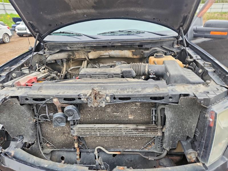 53204706 :رقم المزاد ، 1FTFW1EF0CFA46568 vin ، 2012 Ford F150 مزاد بيع