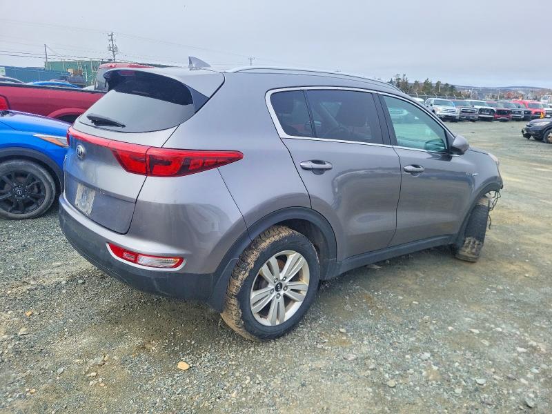 Продаж на аукціоні авто 2018 Kia Sportage, vin: KNDPMCAC3J7417036, номер лоту: 50296956