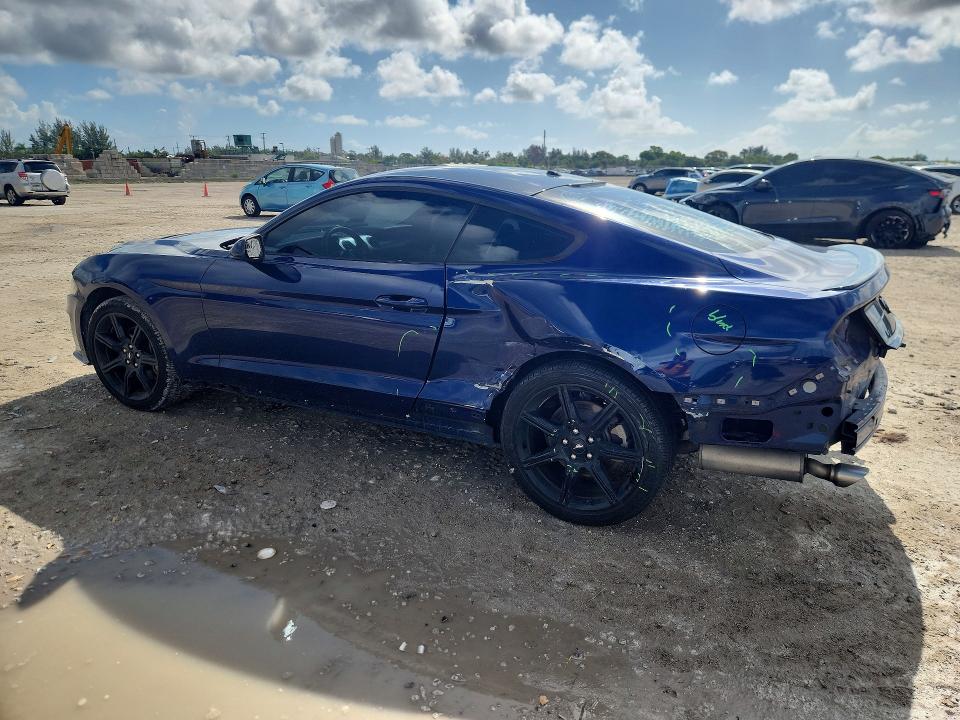 Продажа на аукционе авто 2019 Ford Mustang, vin: 1FA6P8TH5K5167083, номер лота: 53984406