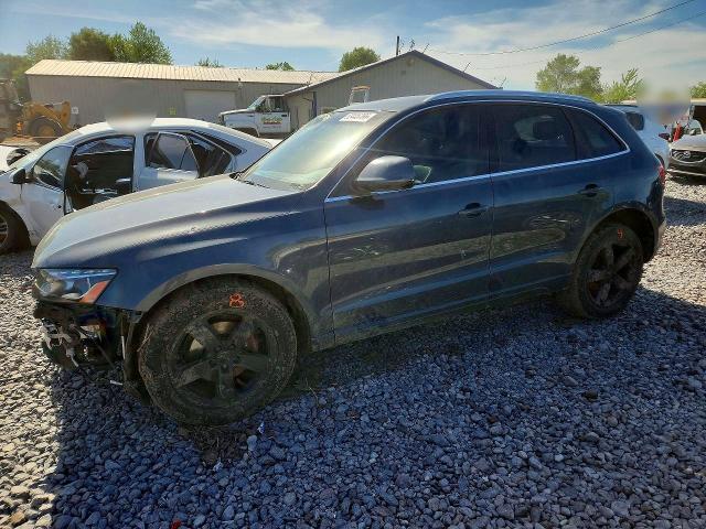 Auction sale of the 2010 Audi Q5, vin: WA1LKAFP0AA052509, lot number: 53445766