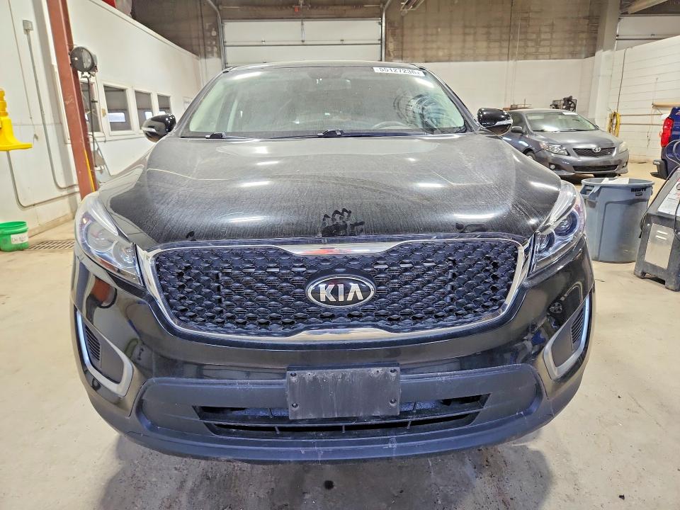 2016 Kia Sorento მანქანა იყიდება აუქციონზე, vin: 5XYPG4A36GG187243, აუქციონის ნომერი: 55127236