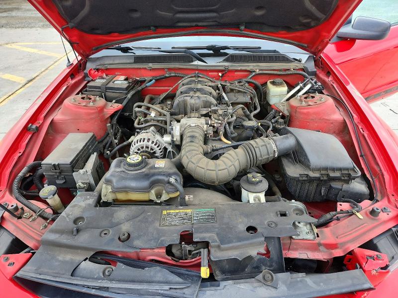 Продаж на аукціоні авто 2005 Ford Mustang, vin: 1ZVFT84NX55260001, номер лоту: 54837626