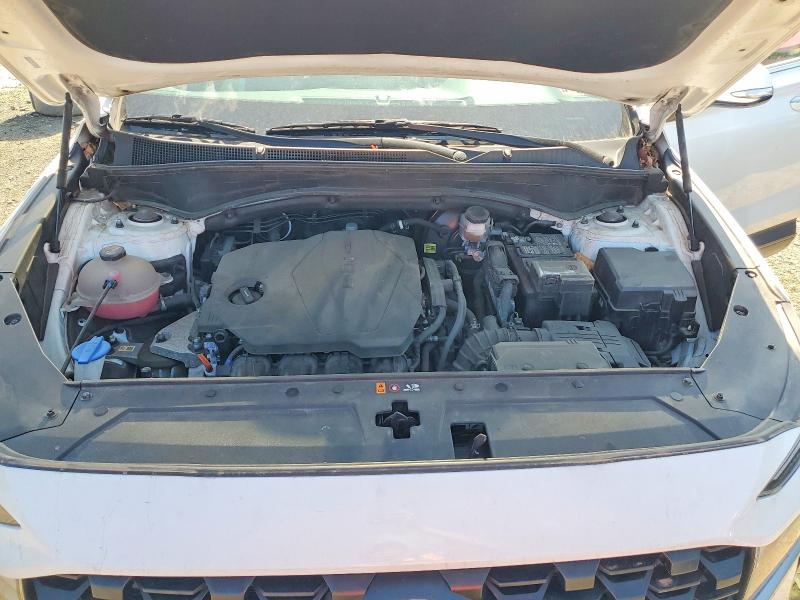 Продаж на аукціоні авто 2023 Hyundai Santa Fe, vin: 5NMS2DAJ7PH488777, номер лоту: 55509446