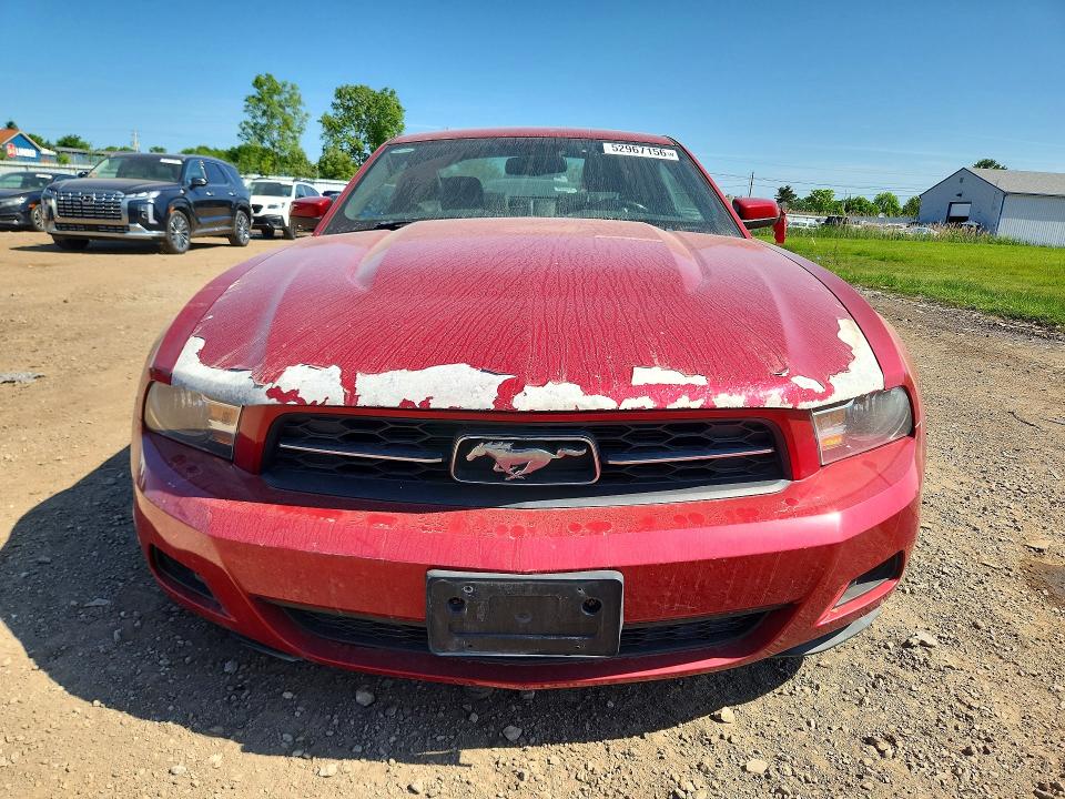 52967156 :رقم المزاد ، 1ZVBP8AN3A5177463 vin ، 2010 Ford Mustang مزاد بيع